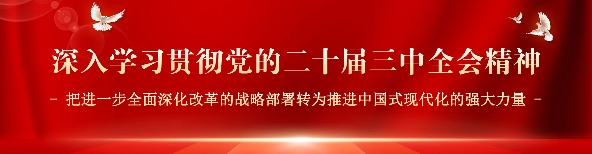 av视频